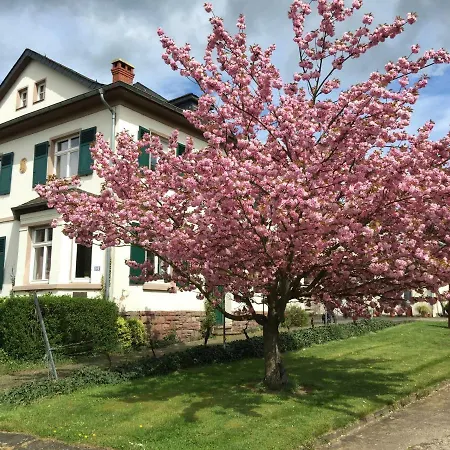 Ferienbungalow Kampenheissji *